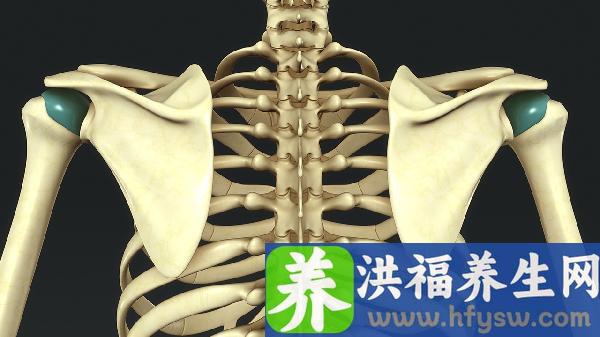 春天出现背部肩胛骨疼痛的原因是什么
