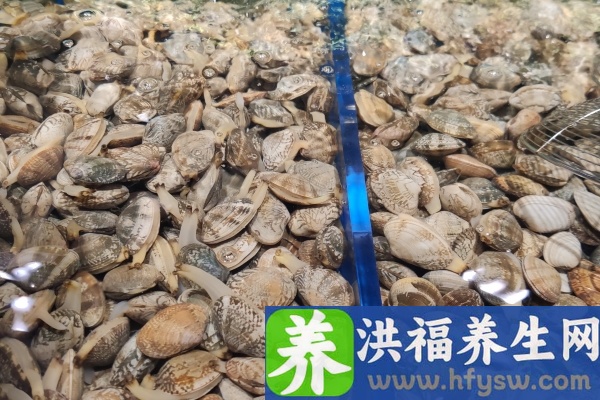 花蛤的功效与作用、禁忌和食用方法