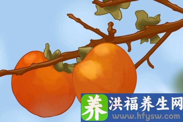 羊肉与柿子相克吗