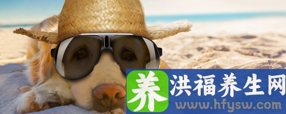夏季饮食如何调养 有四大原则