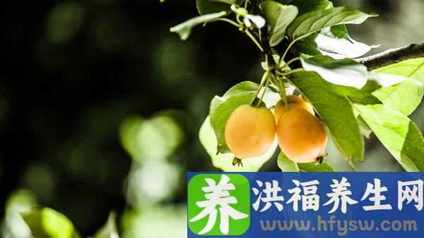 卵泡发育不良能自然排卵吗