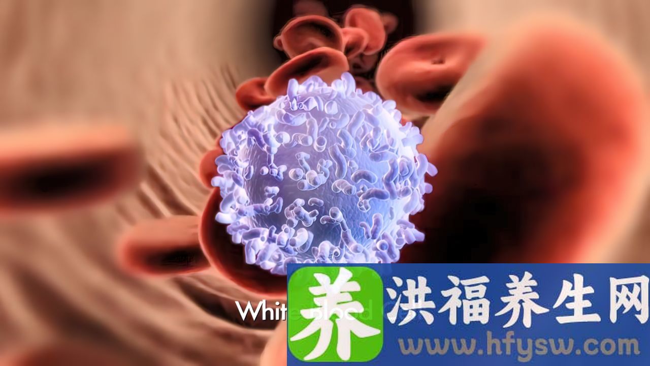 白细胞102x10^9/L正常