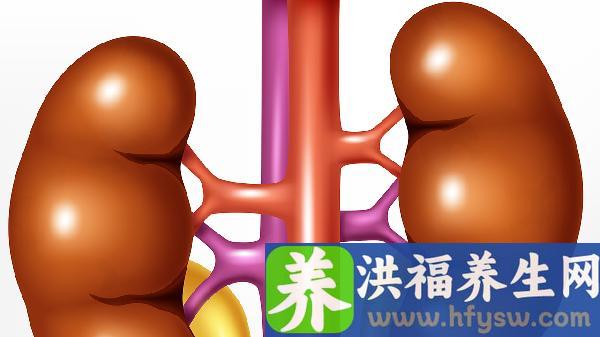 肾结石微创手术后多久能喝酒吗