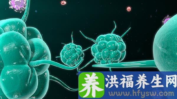 怎么判断孩子是不是诺如病毒呕吐吐不出怎么办