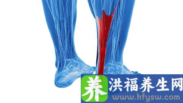 老年人吃什么油对心脑血管好
