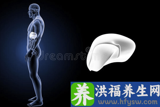 养肝护肝“原则”，不能变，不做伤肝的事，多吃护肝蔬菜，多喝水