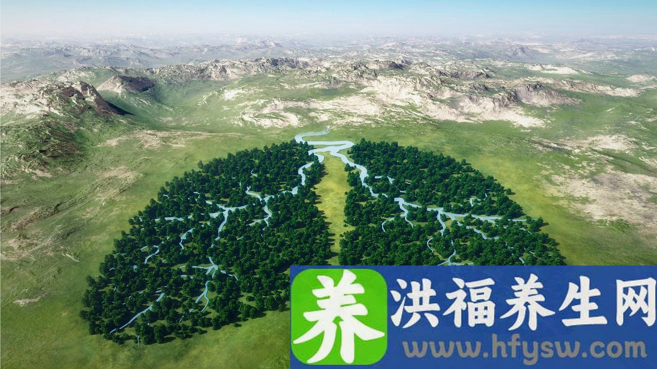 养肺有什么好处