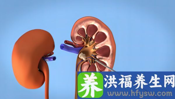 肾小球一个月下降十几个月