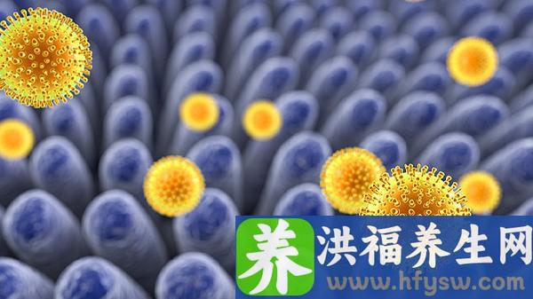 淋巴细胞比率偏高是怎么回事