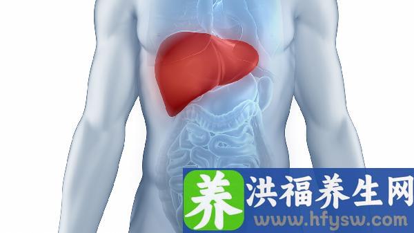 瘦子脂肪肝是什么原因造成的