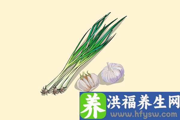 葱的功效与作用、禁忌和食用方法