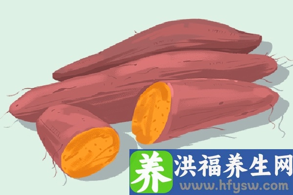 红薯的功效与作用、禁忌和食用方法