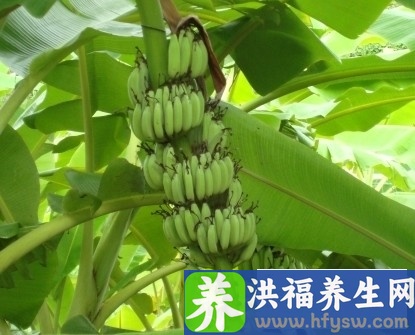冬季七款进补养生汤 润肺暖胃暖心又美颜