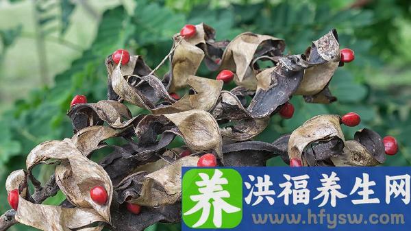 春季补肝全攻略：这些症状提示你需要调理，但并非人人适用！