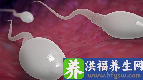 甲醛会影响精子畸形率吗
