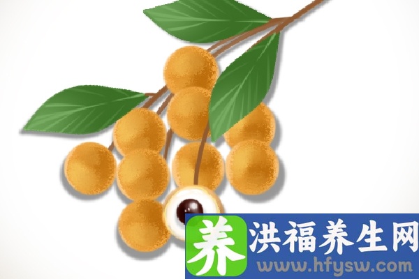 桂圆会上火吗