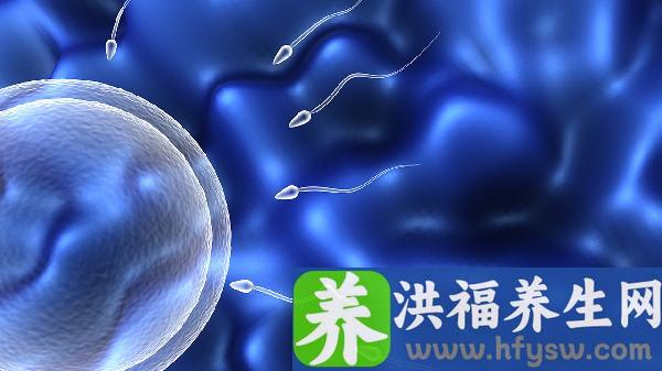 精液常规没有精子畸形率