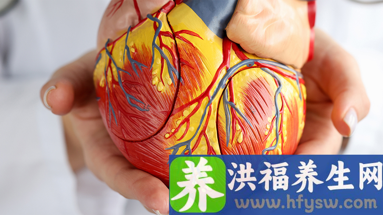 心脏长大吃什么药