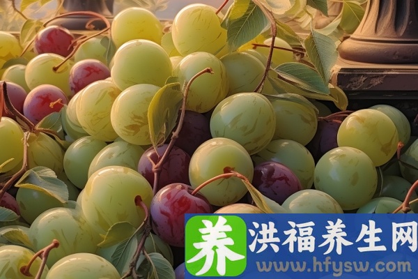 李子的功效与作用、禁忌和食用方法