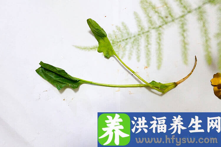 养肝蔬菜有哪些