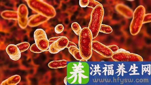 诺如病毒是流感病毒吗为什么