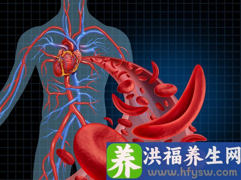 4类食物或是血管的“天敌”，40岁以后，为了健康，可别再贪吃
