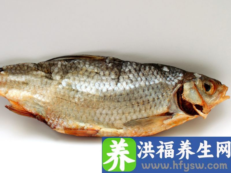 为什么鱼肉最推荐老年人吃？吃的时候要注意什么？少吃4种鱼就行