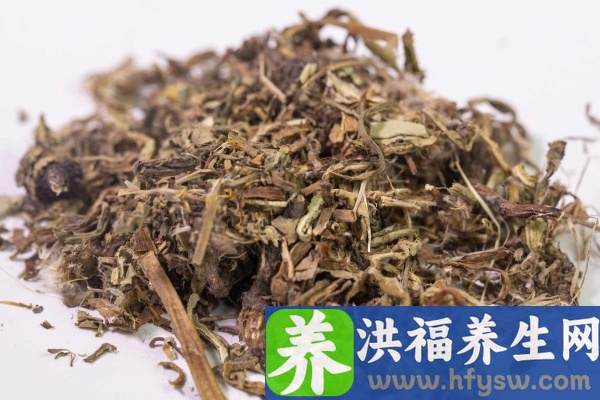 蒲公英的功效与作用、禁忌和食用方法