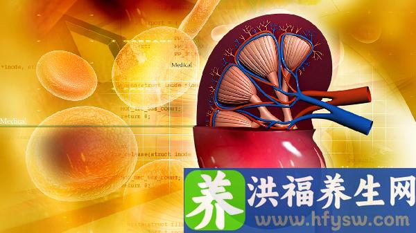 肾结核病是由什么引起的？什么原因造成的