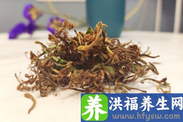 金银花茶的功效与作用、禁忌和食用方法