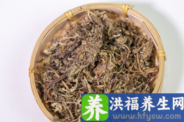 婆婆丁的功效与作用、禁忌和食用方法