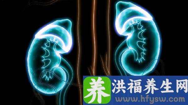 尿素和肌酐高是怎么回事