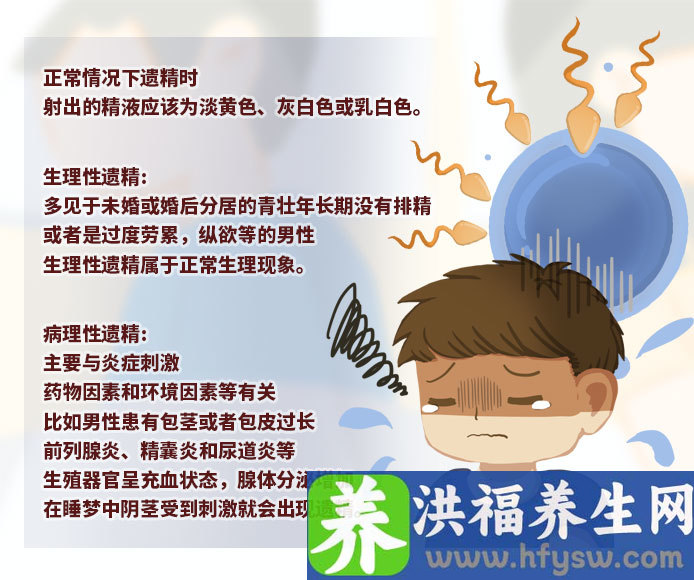 遗精是什么颜色