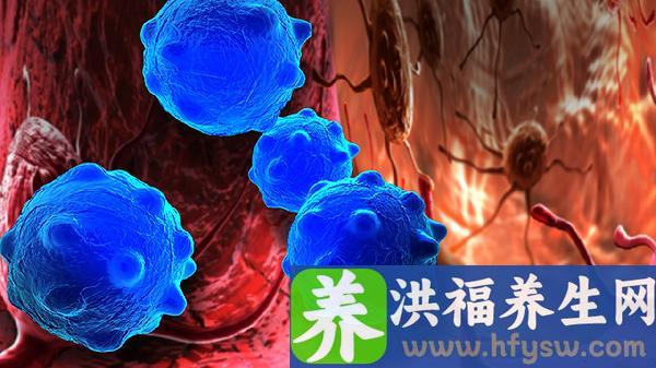 粒细胞缺乏症的诊断标准