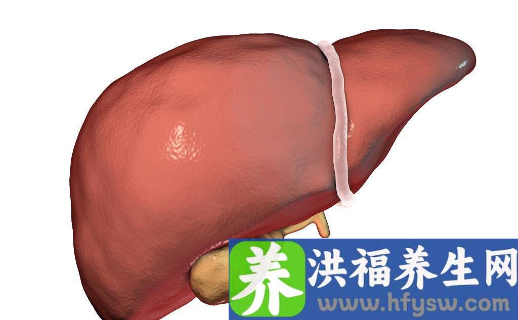 俗话说“养肝就是养命”，夏季养肝多吃4种水果，提高免疫力