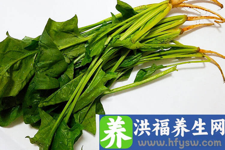 适合春季吃的蔬菜有哪些