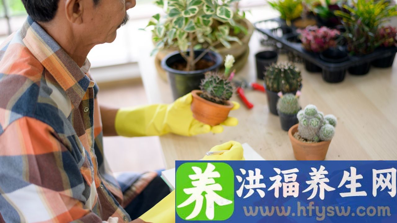 仙人掌能治腮腺炎吗