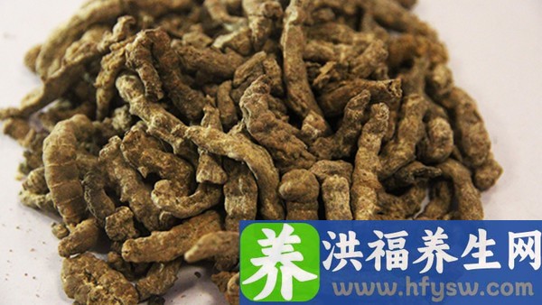 卵泡发育不良的药物