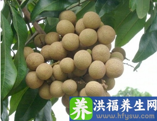 大寒吃什么养生 七款养生汤暖胃御寒