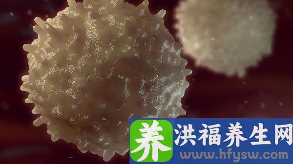 尿常规白细胞弱阳性怎么办