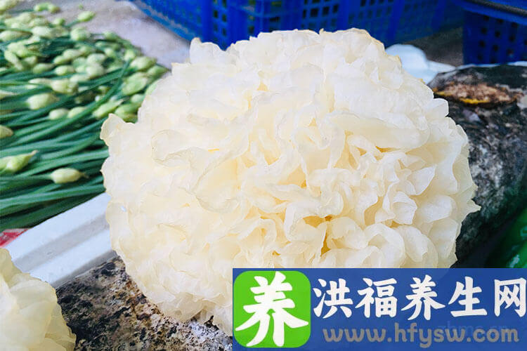 肺结核吃什么蔬菜好
