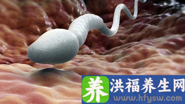 降压药可造成精子畸形吗