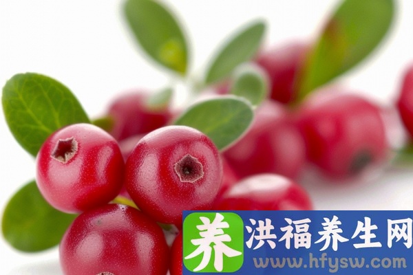 蔓越莓的功效与作用、禁忌和食用方法