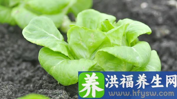 补钙常吃10大食物老人怎么办