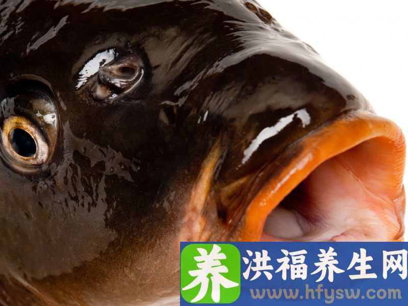 鱼身上这个部位，有大量寄生虫，很多人还不知道，将它当美食