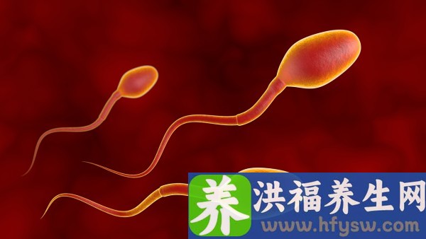 降压药能导致精子畸形吗