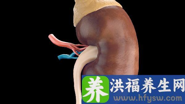 IGA肾病哪种难治？保持心态比较重要！