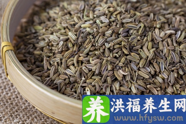茴香的功效与作用、禁忌和食用方法