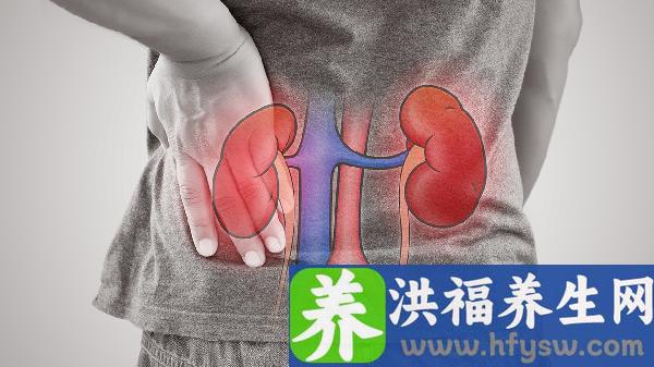 尿蛋白2 是肾病吗