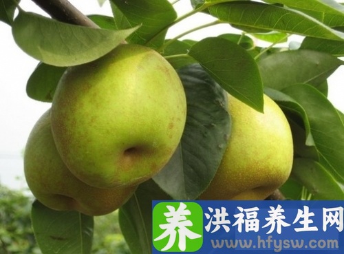 冬季男性如何进补 十款养生汤粥补充营养